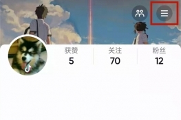 抖音音浪是什么